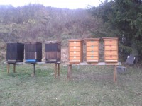 /album/fotogaleria-ule/a2013-11-11-15-32-32-jpg/